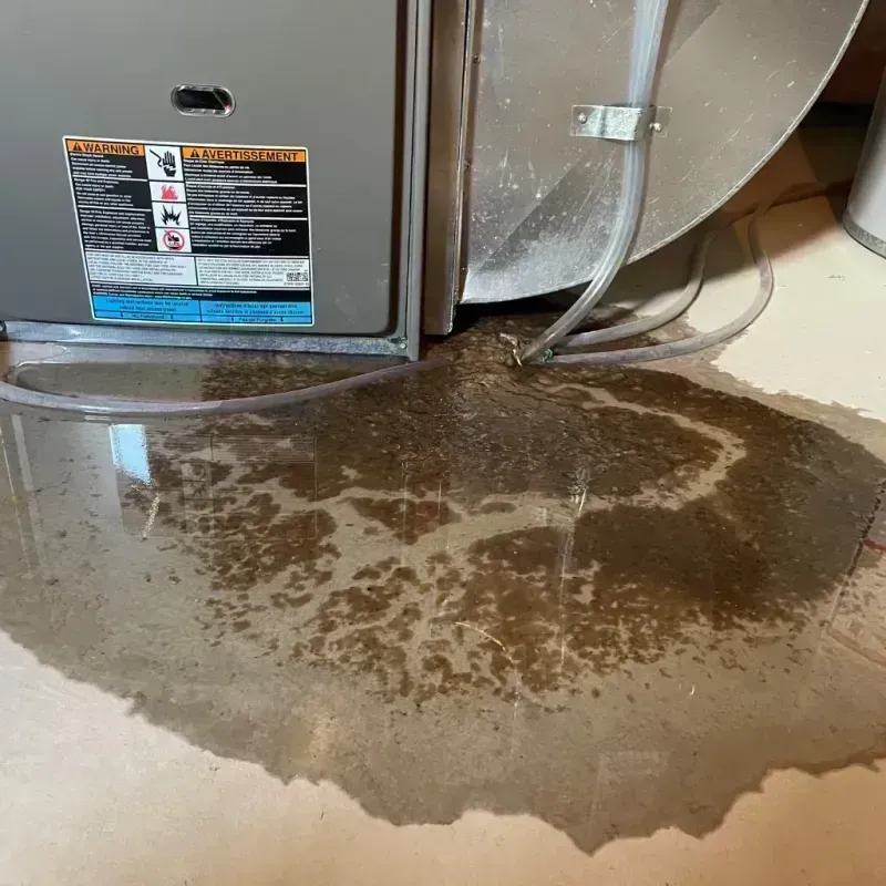 Appliance Leak Cleanup in Columbia County, GA